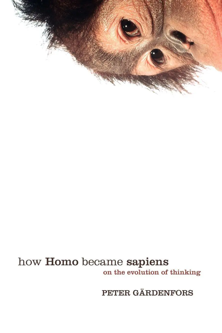 Cover: 9780198528517 | How Homo Became Sapiens | On the Evolution of Thinking | Gardenfors