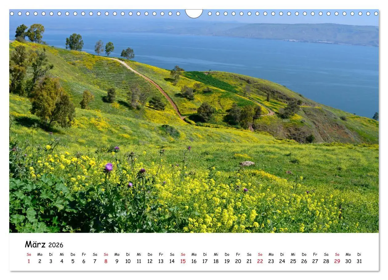 Bild: 9783457778517 | Traumziel Israel (Wandkalender 2026 DIN A3 quer), CALVENDO...