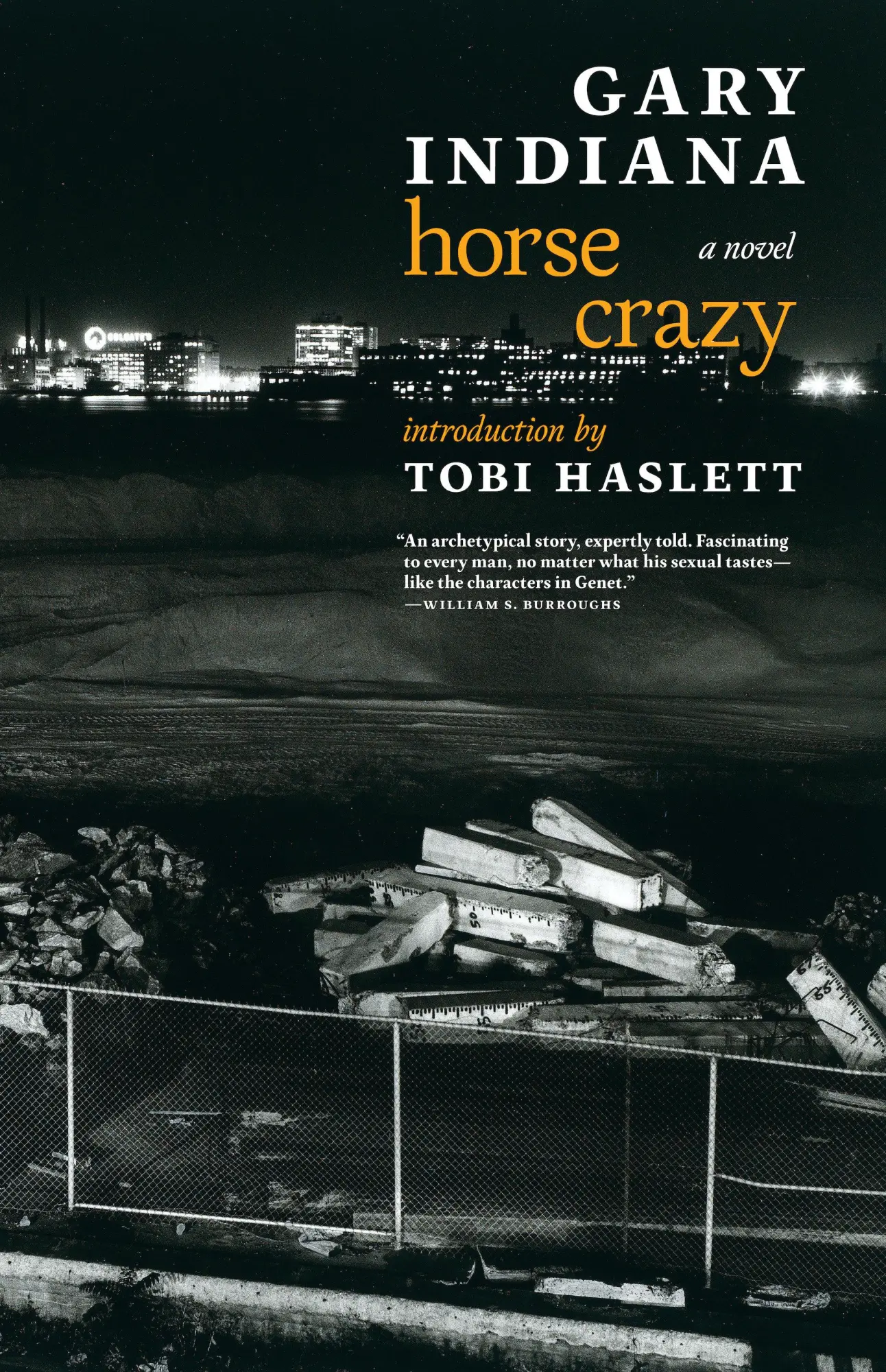 Cover: 9781609808617 | Horse Crazy | A novel | Gary Indiana | Taschenbuch | Englisch | 2018