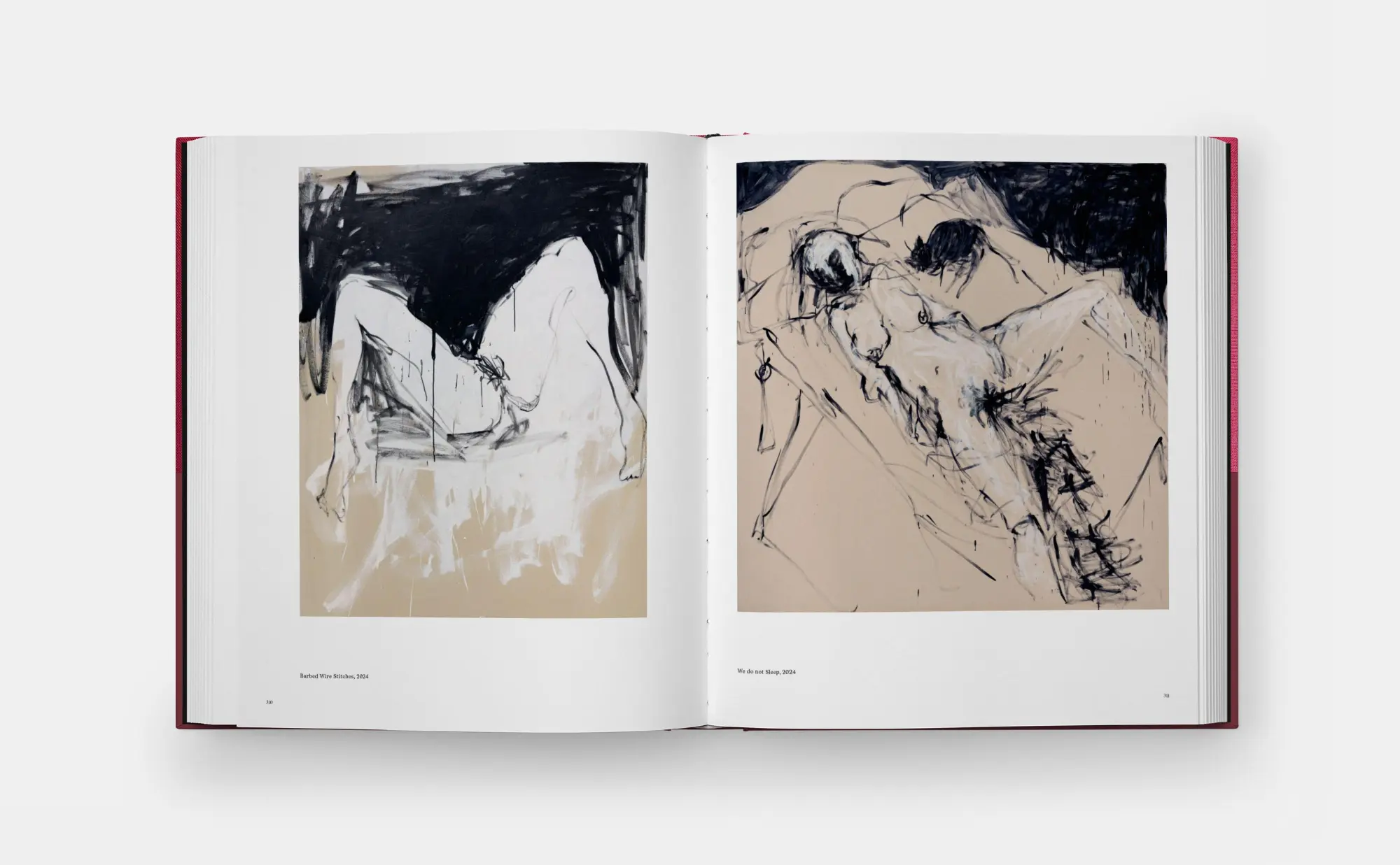 Bild: 9781838668617 | Tracey Emin Paintings | David Dawson (u. a.) | Buch | Phaidon Press