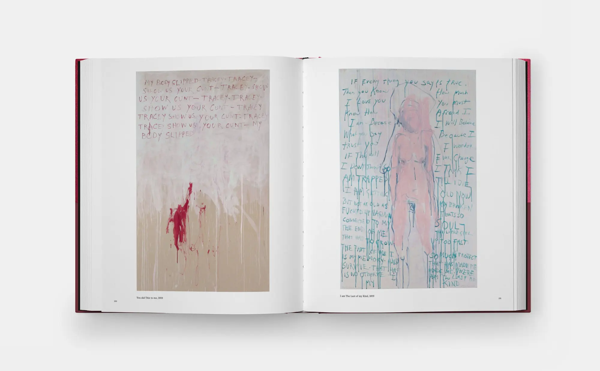 Bild: 9781838668617 | Tracey Emin Paintings | David Dawson (u. a.) | Buch | Phaidon Press