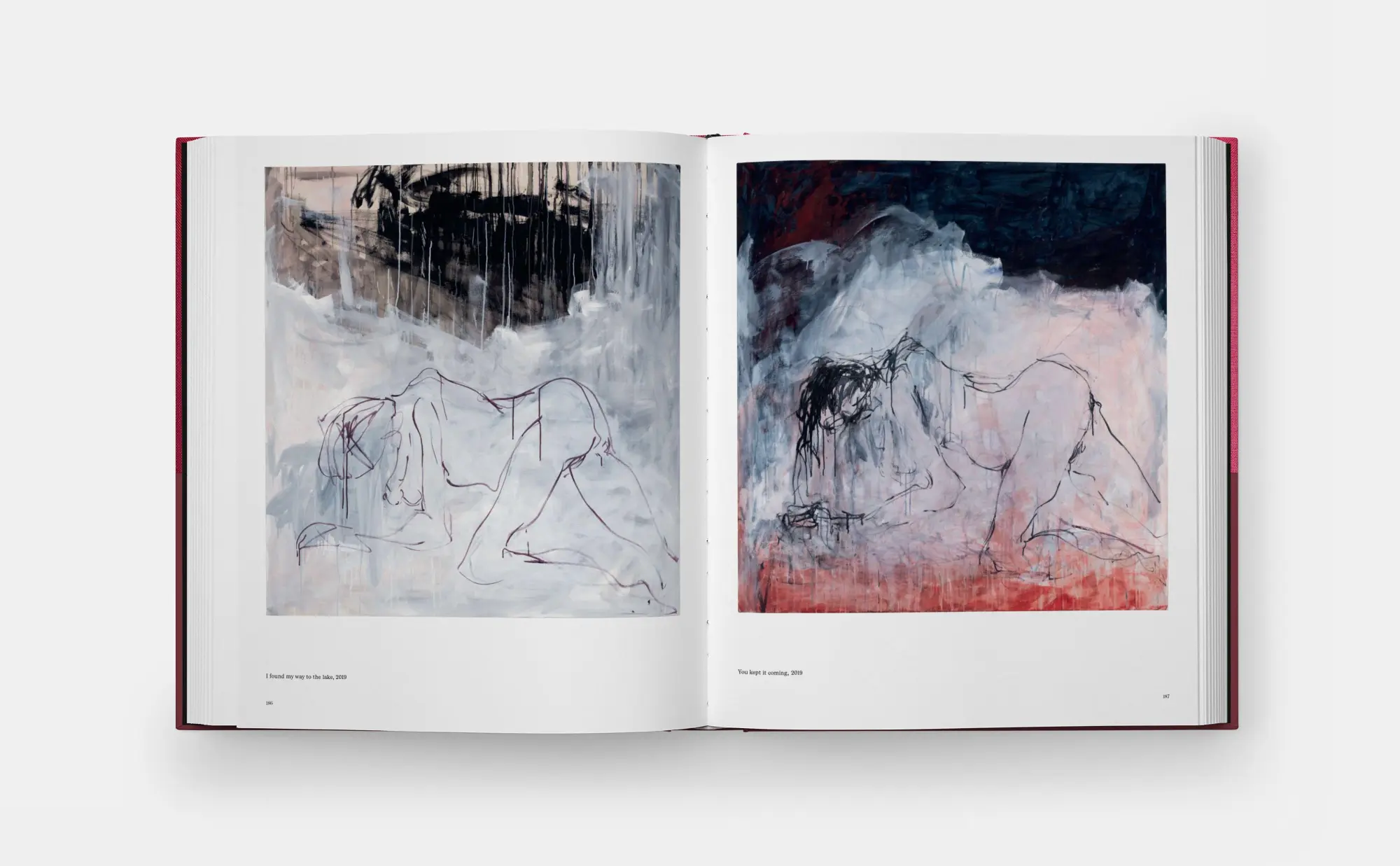 Bild: 9781838668617 | Tracey Emin Paintings | David Dawson (u. a.) | Buch | Phaidon Press