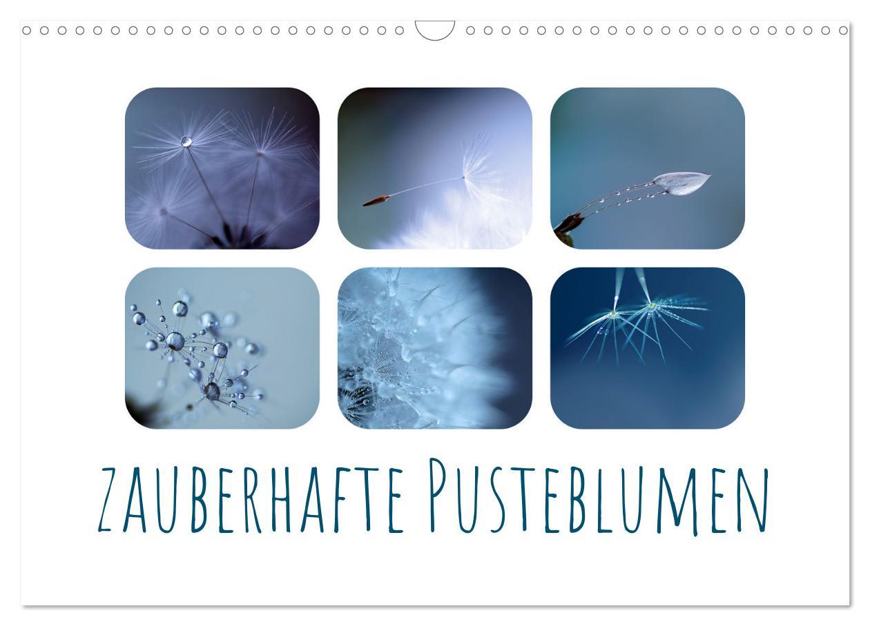 Cover: 9783435058617 | Zauberhafte Pusteblumen (Wandkalender 2025 DIN A3 quer), CALVENDO...