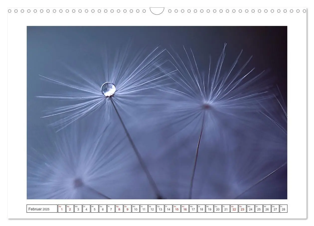 Bild: 9783435058617 | Zauberhafte Pusteblumen (Wandkalender 2025 DIN A3 quer), CALVENDO...