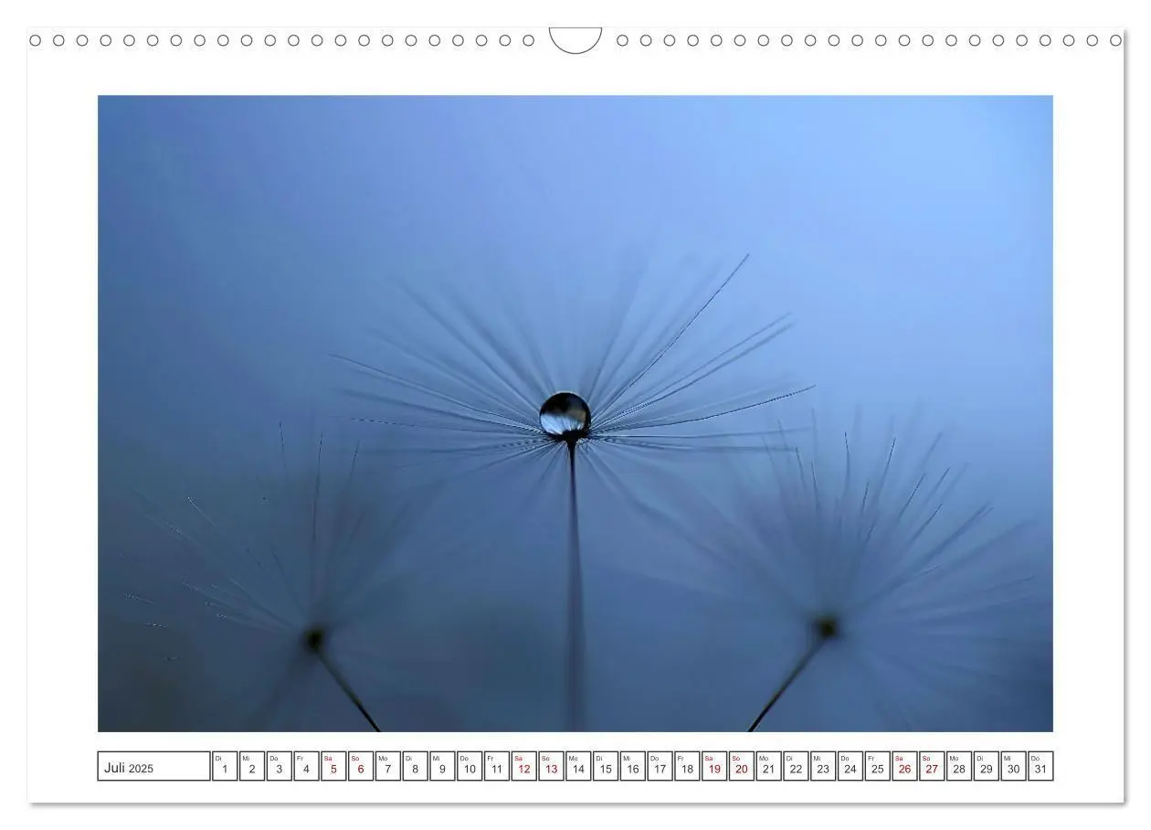 Bild: 9783435058617 | Zauberhafte Pusteblumen (Wandkalender 2025 DIN A3 quer), CALVENDO...