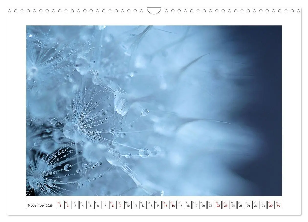 Bild: 9783435058617 | Zauberhafte Pusteblumen (Wandkalender 2025 DIN A3 quer), CALVENDO...