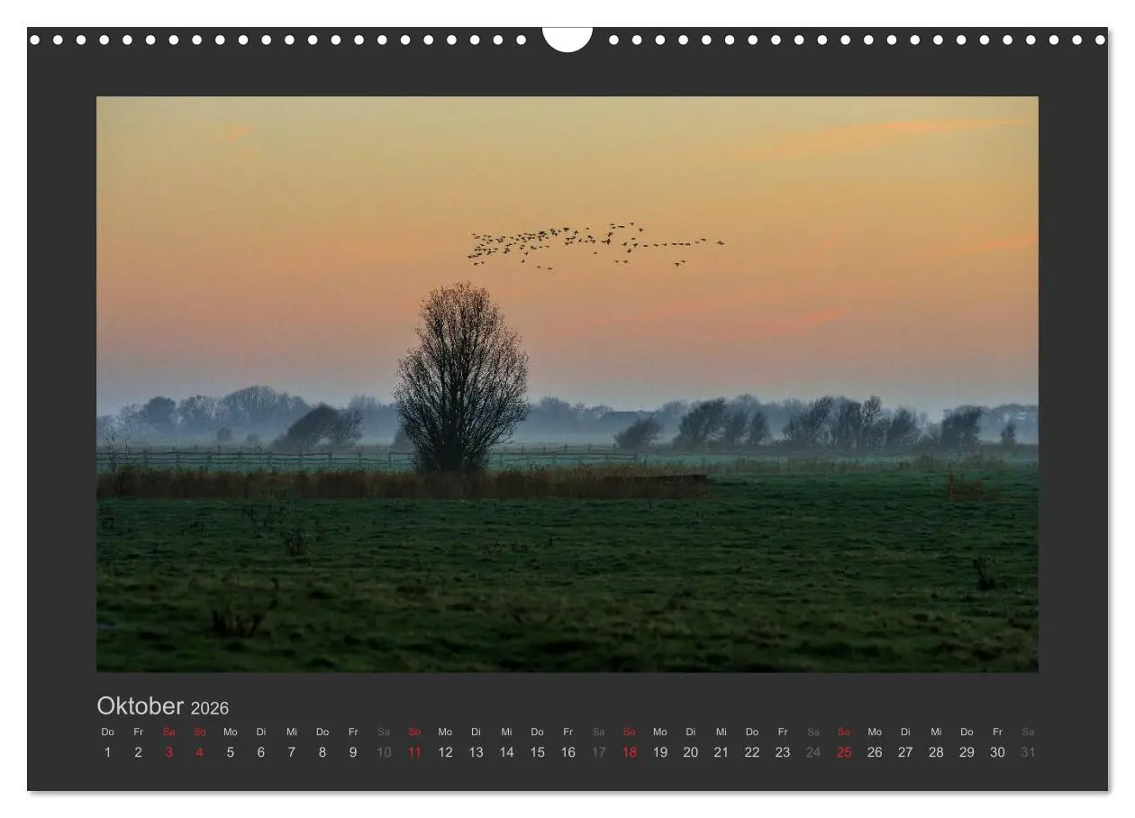 Bild: 9783516098617 | Impressionen aus St. Peter-Ording (Wandkalender 2026 DIN A3 quer),...