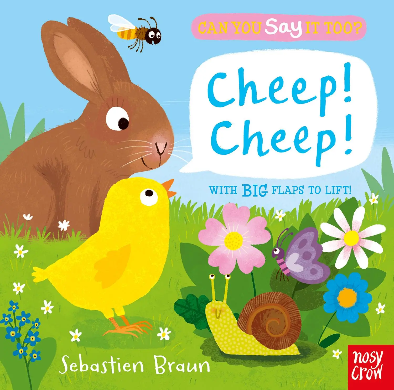 Cover: 9780857638717 | Can You Say It Too? Cheep! Cheep! | Sebastien Braun | Buch | Englisch