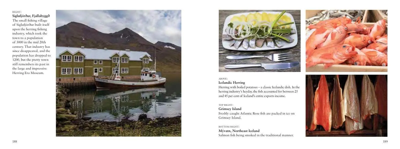 Bild: 9781782748717 | Iceland | Chris McNab | Taschenbuch | Visual Explorer Guide | Englisch