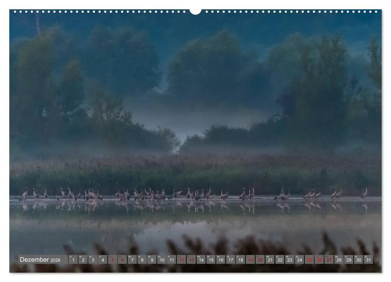 Bild: 9783457758717 | Mit Kranichen durch das Jahr (hochwertiger Premium Wandkalender...