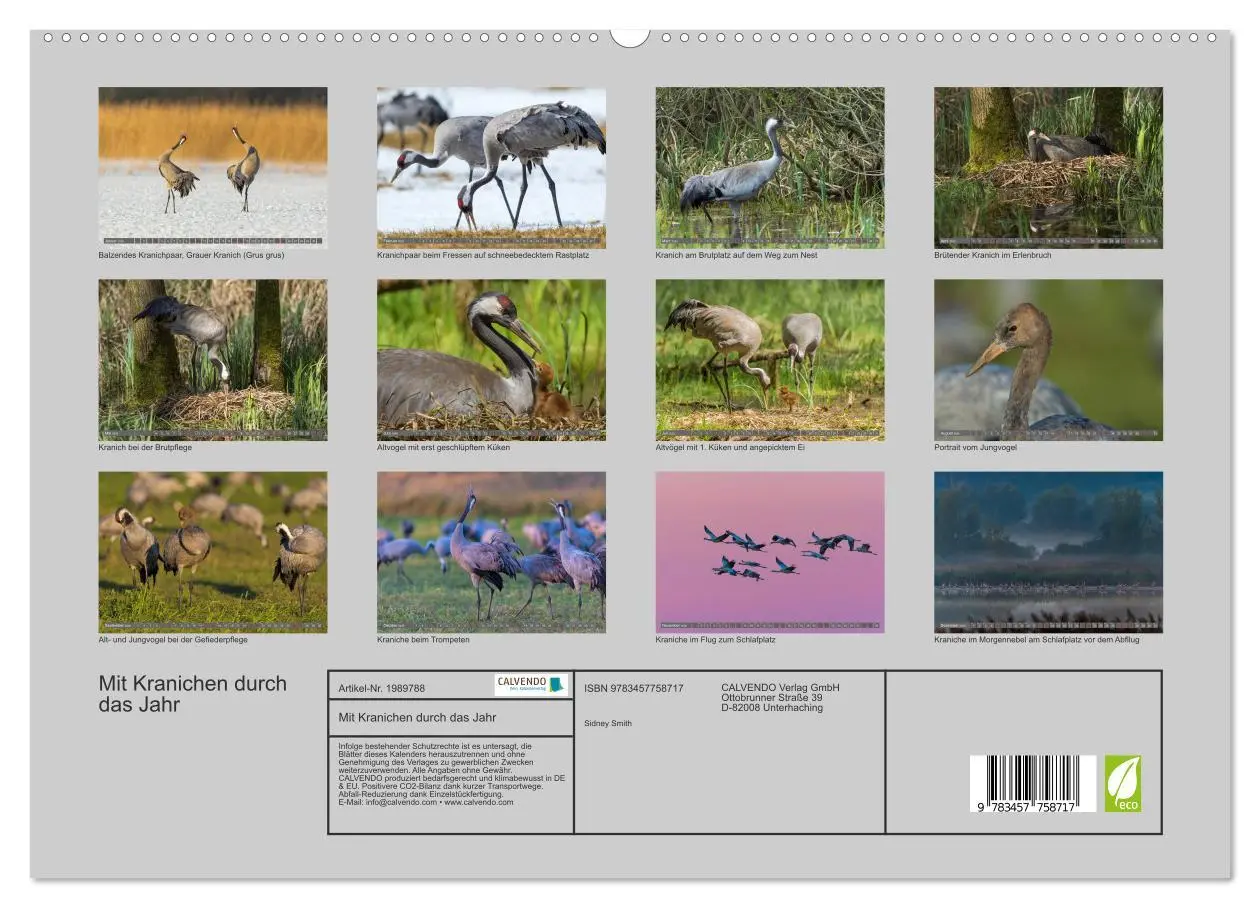 Bild: 9783457758717 | Mit Kranichen durch das Jahr (hochwertiger Premium Wandkalender...