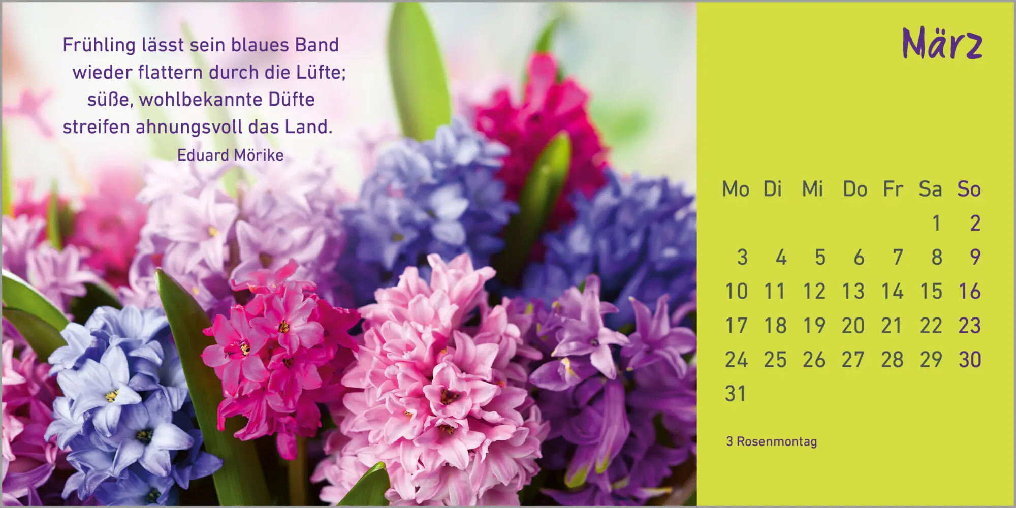 Bild: 9783579078717 | Helle Tage 2025 | Kalender | 13 farbige Illustr. | Deutsch | 2025