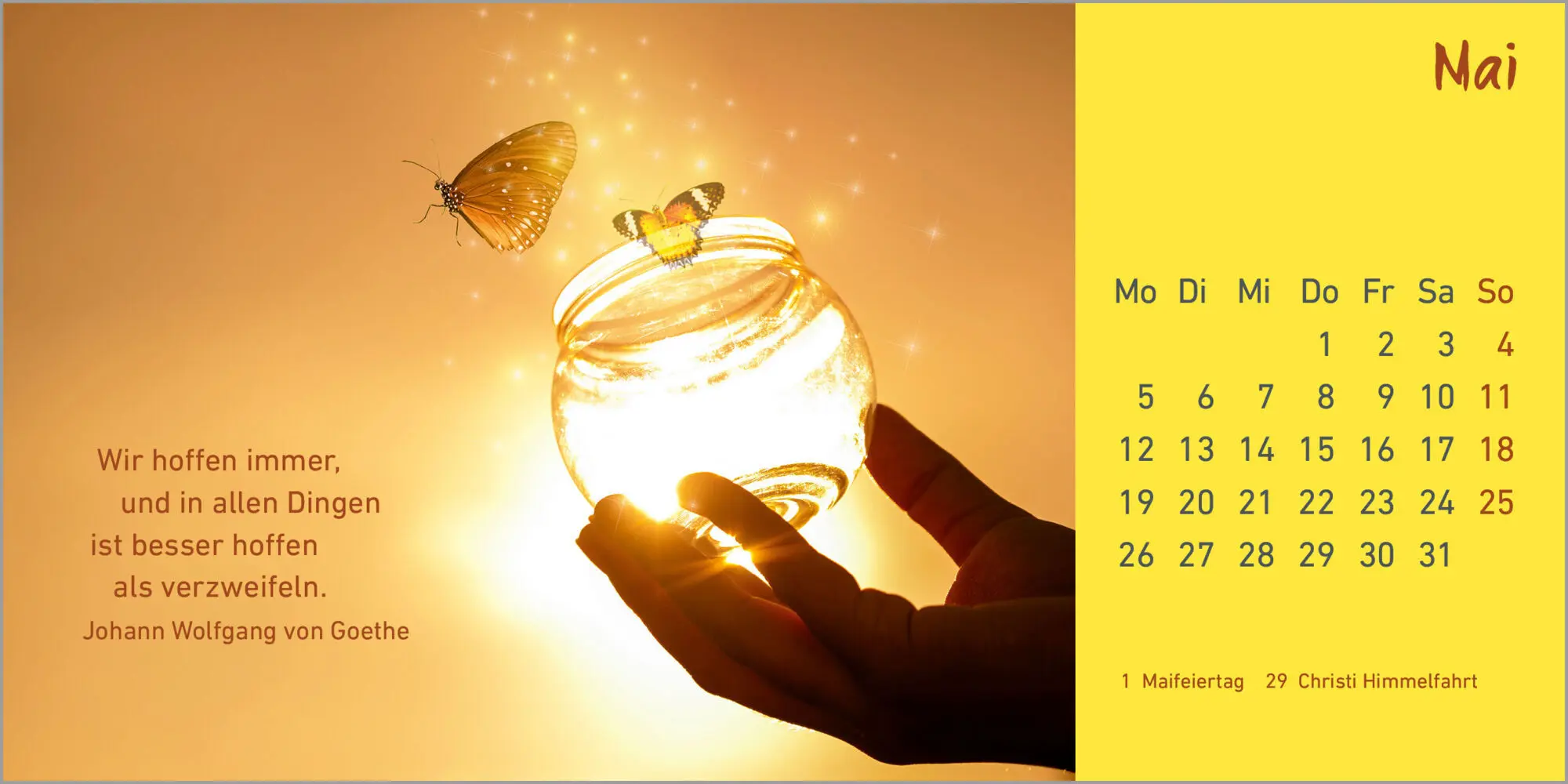 Bild: 9783579078717 | Helle Tage 2025 | Kalender | 13 farbige Illustr. | Deutsch | 2025
