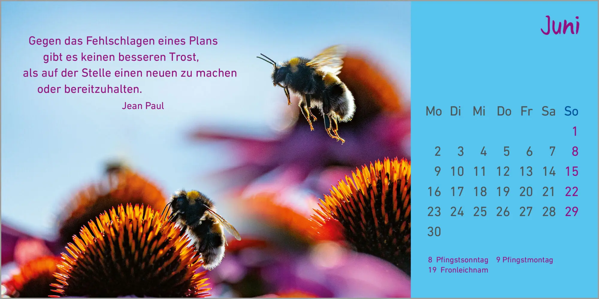Bild: 9783579078717 | Helle Tage 2025 | Kalender | 13 farbige Illustr. | Deutsch | 2025