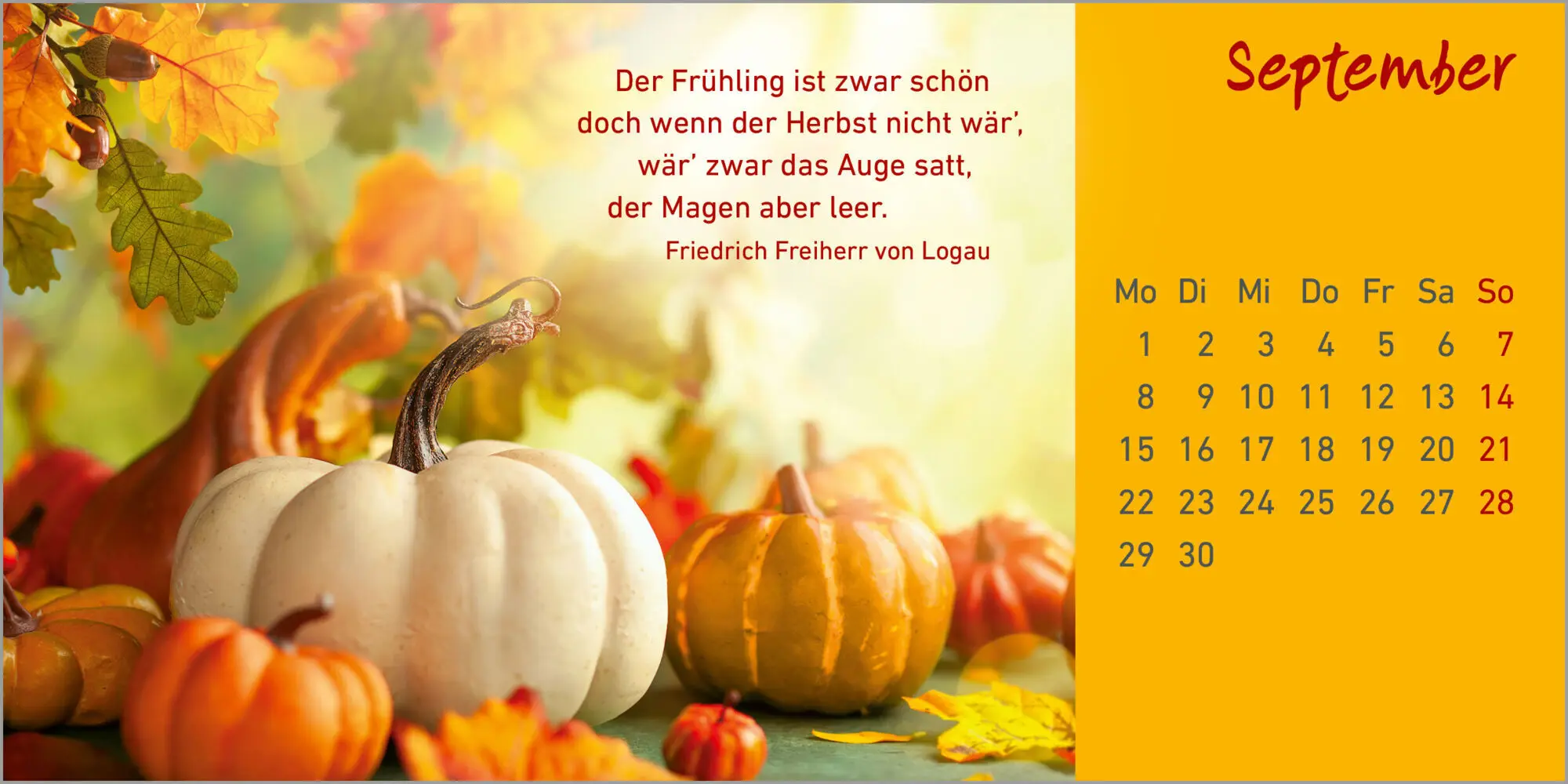 Bild: 9783579078717 | Helle Tage 2025 | Kalender | 13 farbige Illustr. | Deutsch | 2025