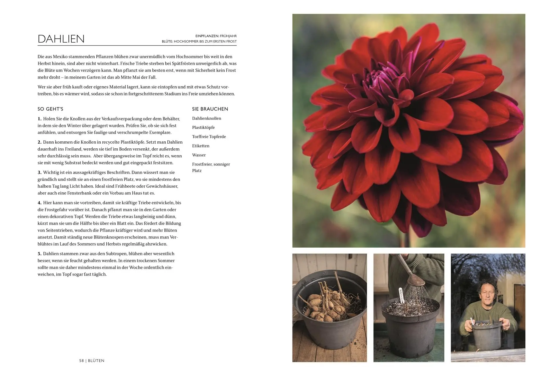 Bild: 9783831048717 | Das Gartenbuch | Monty Don | Buch | 352 S. | Deutsch | 2024