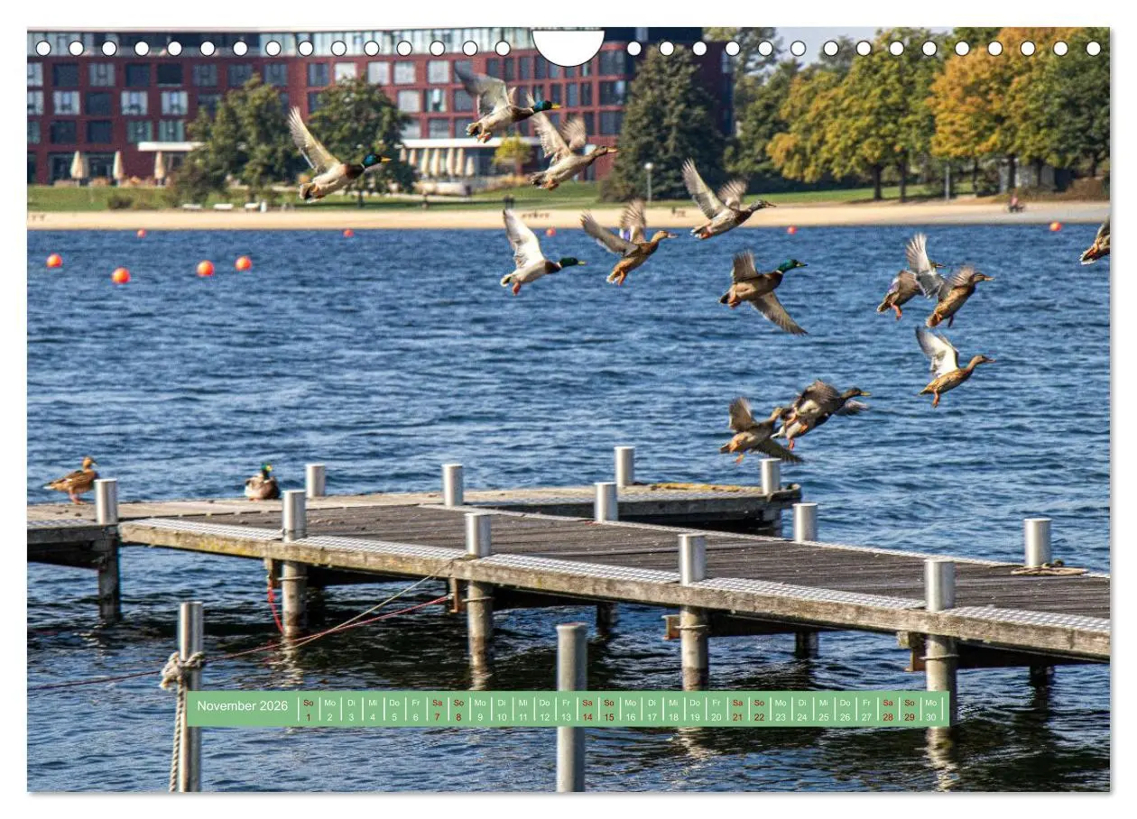 Bild: 9783457298817 | Wolfsburg - einfach tierisch (Wandkalender 2026 DIN A4 quer),...