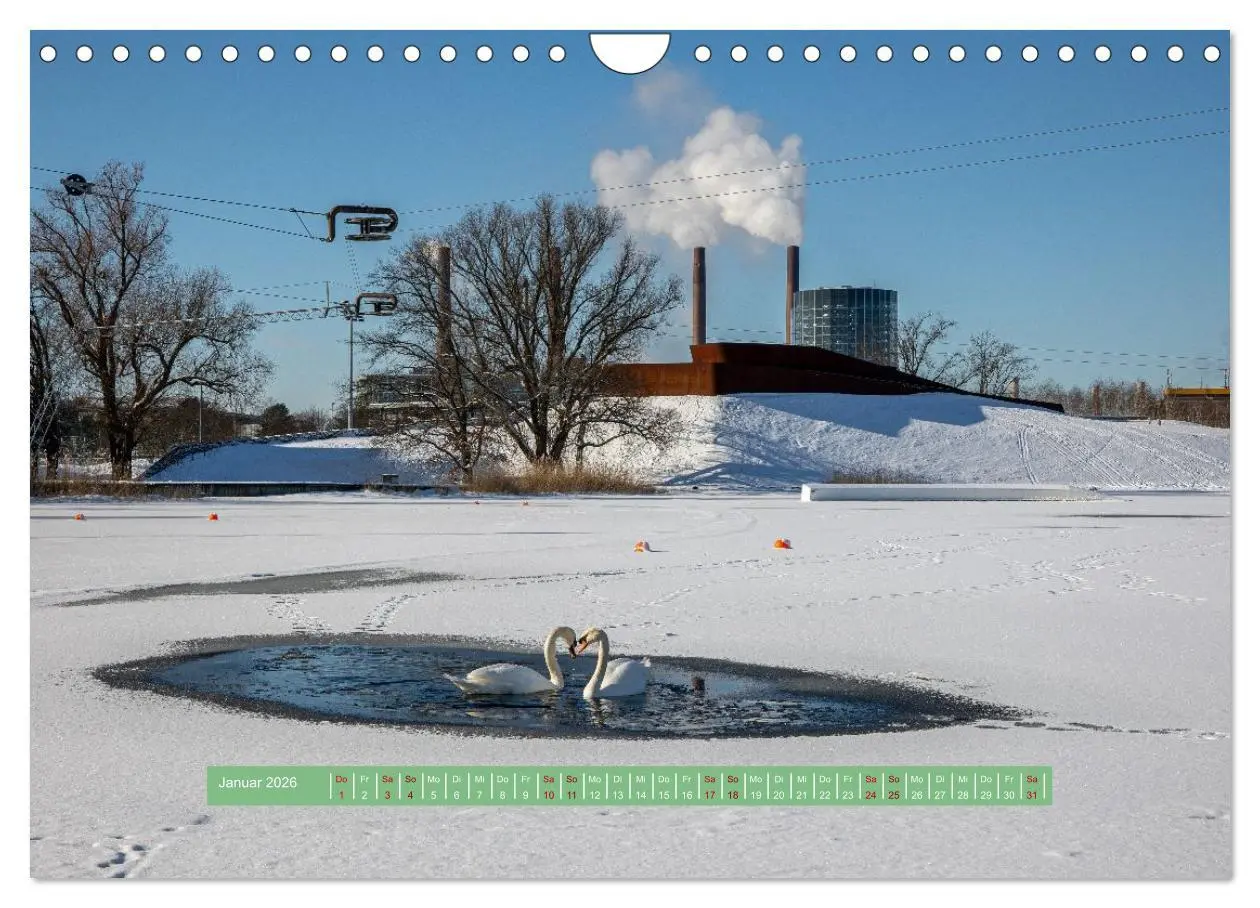 Bild: 9783457298817 | Wolfsburg - einfach tierisch (Wandkalender 2026 DIN A4 quer),...