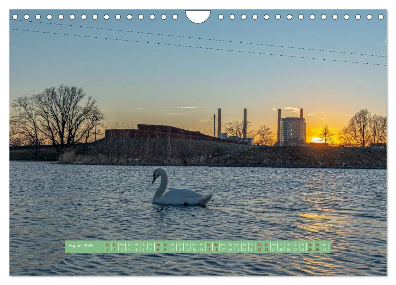 Bild: 9783457298817 | Wolfsburg - einfach tierisch (Wandkalender 2026 DIN A4 quer),...