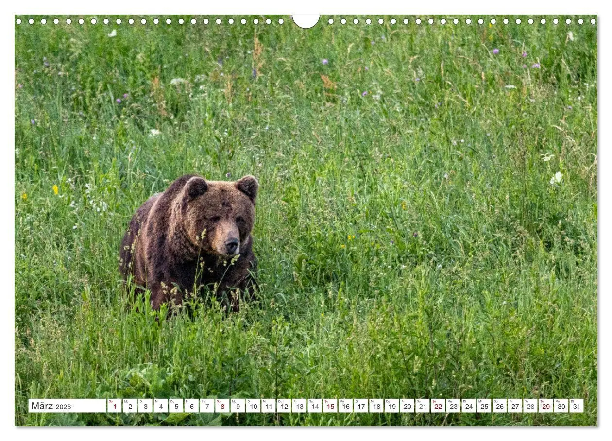 Bild: 9783457508817 | Faszination Bosnien-Herzegowina (Wandkalender 2026 DIN A3 quer),...