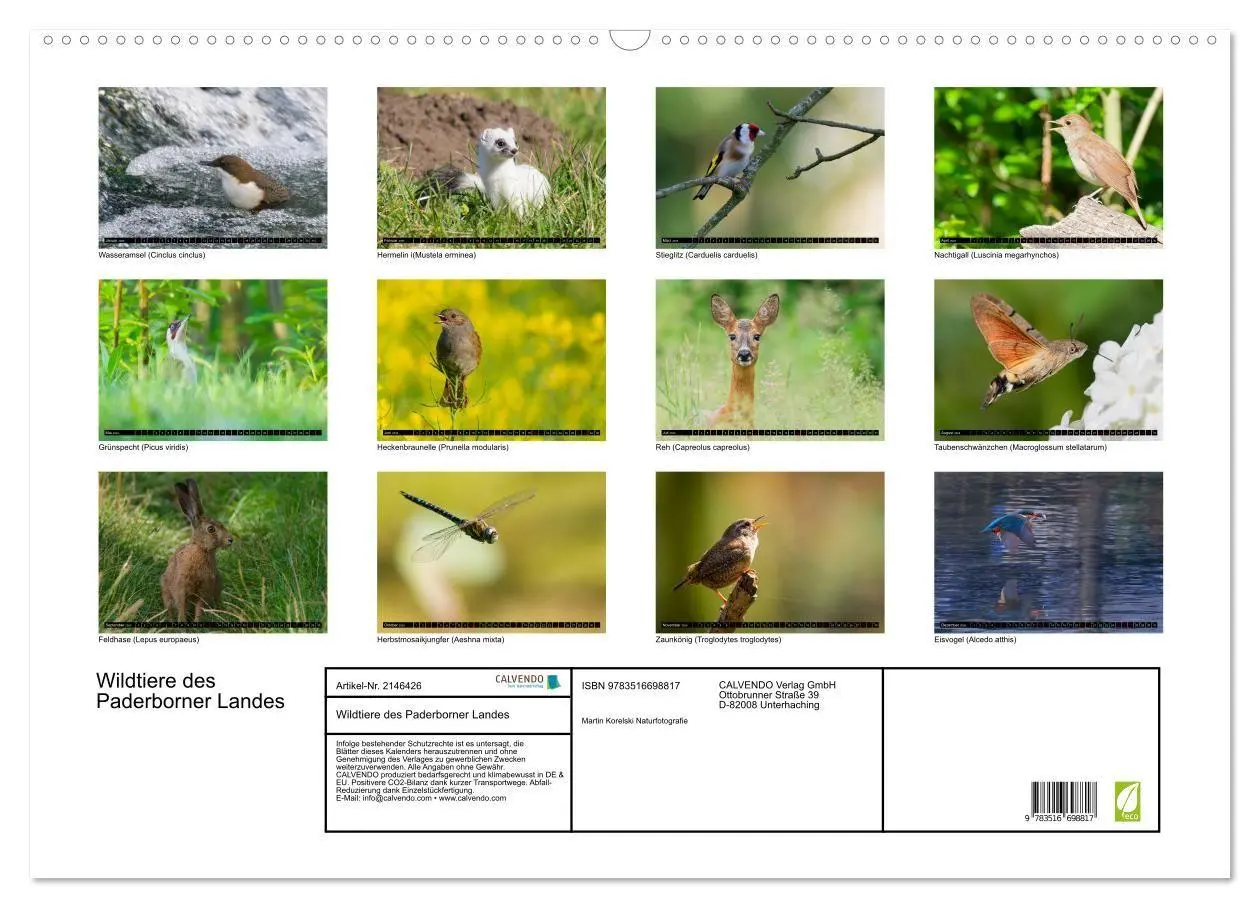 Bild: 9783516698817 | Wildtiere des Paderborner Landes (Wandkalender 2026 DIN A2 quer),...