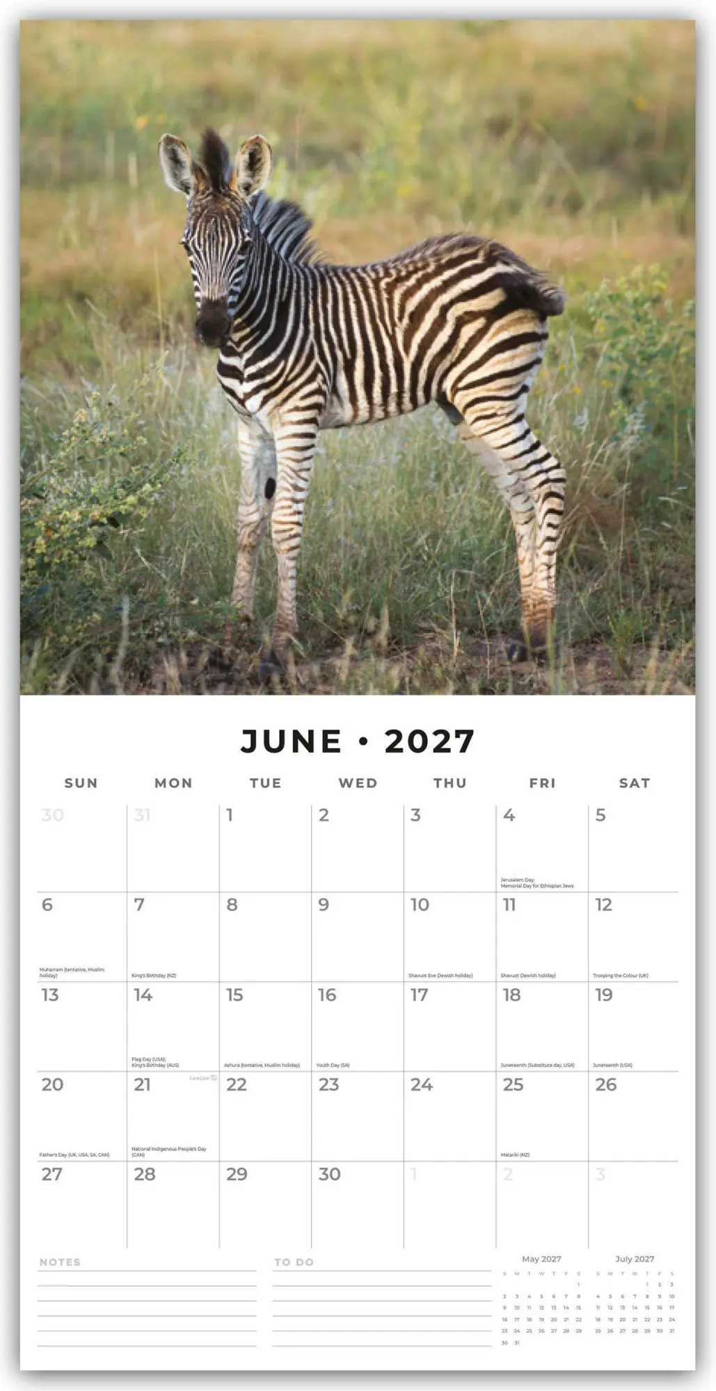 Bild: 9781804428917 | Baby Animals - Tierkinder - Tierbabys 2027 - 16-Monatskalender | Red