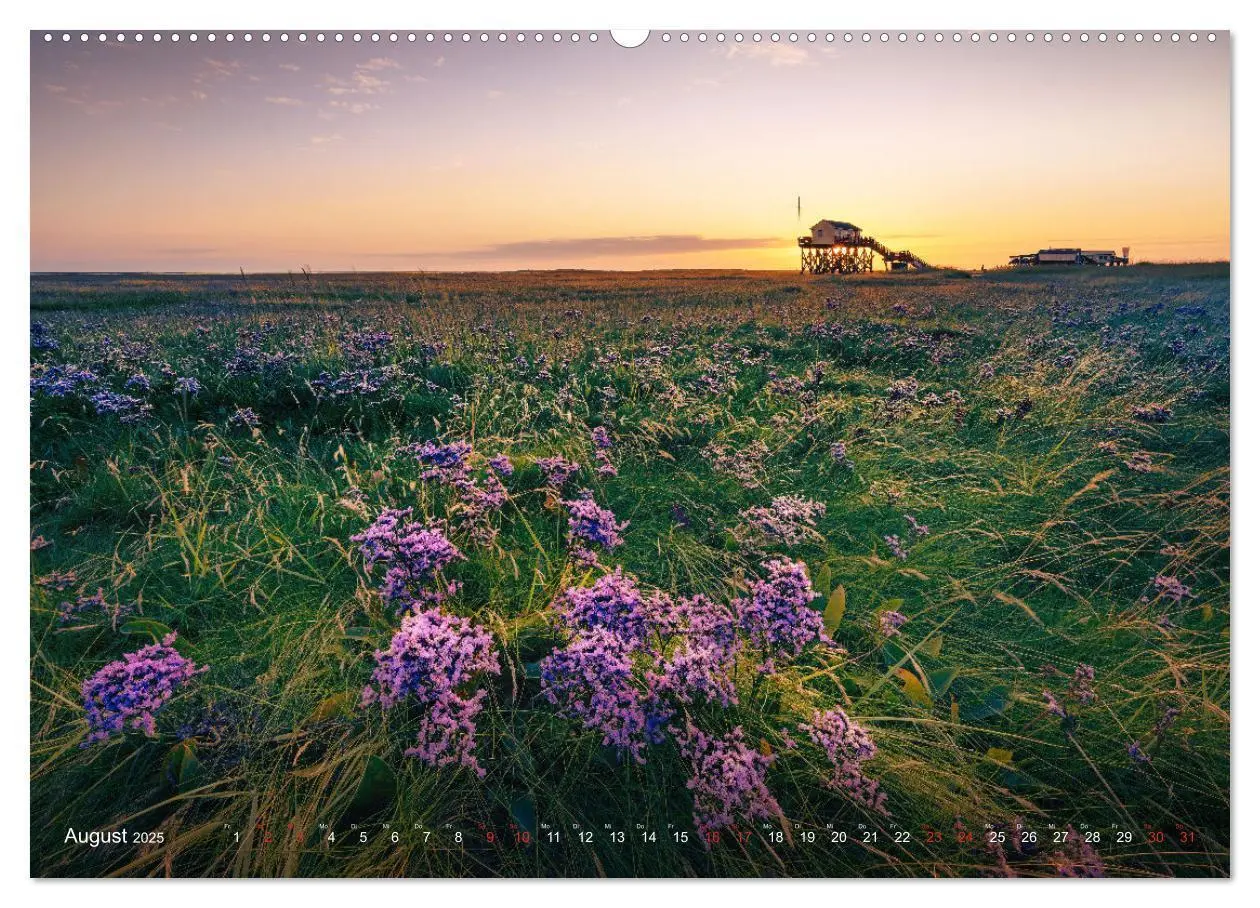 Bild: 9783383868917 | Nordseeurlaub in St. Peter-Ording (Wandkalender 2025 DIN A2 quer),...