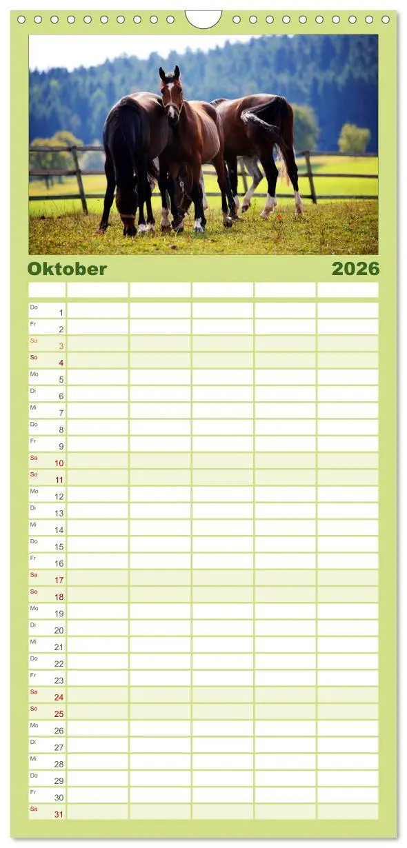 Bild: 9783516518917 | Familienplaner 2026 - Faszination Pferde mit 5 Spalten...