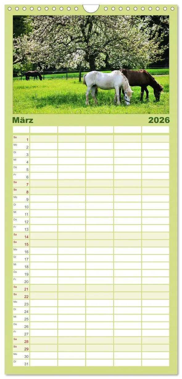 Bild: 9783516518917 | Familienplaner 2026 - Faszination Pferde mit 5 Spalten...