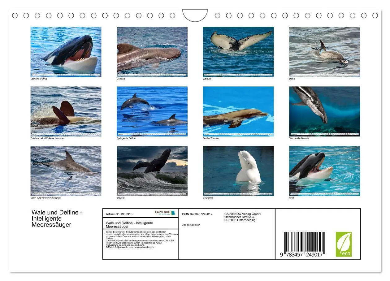 Bild: 9783457249017 | Wale und Delfine - Intelligente Meeressäuger (Wandkalender 2026 DIN...
