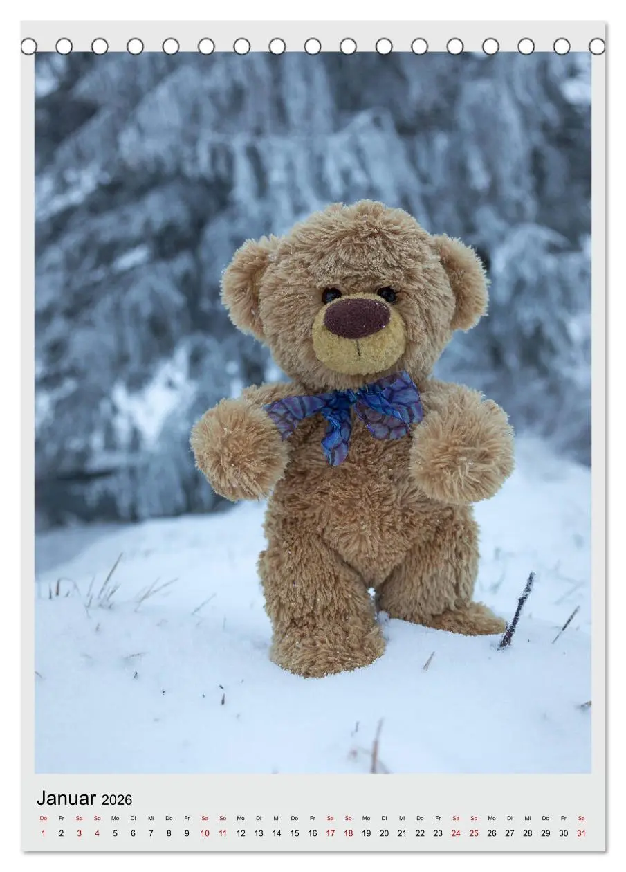 Bild: 9783516409017 | Travelling Teddy in Europa (Tischkalender 2026 DIN A5 hoch),...