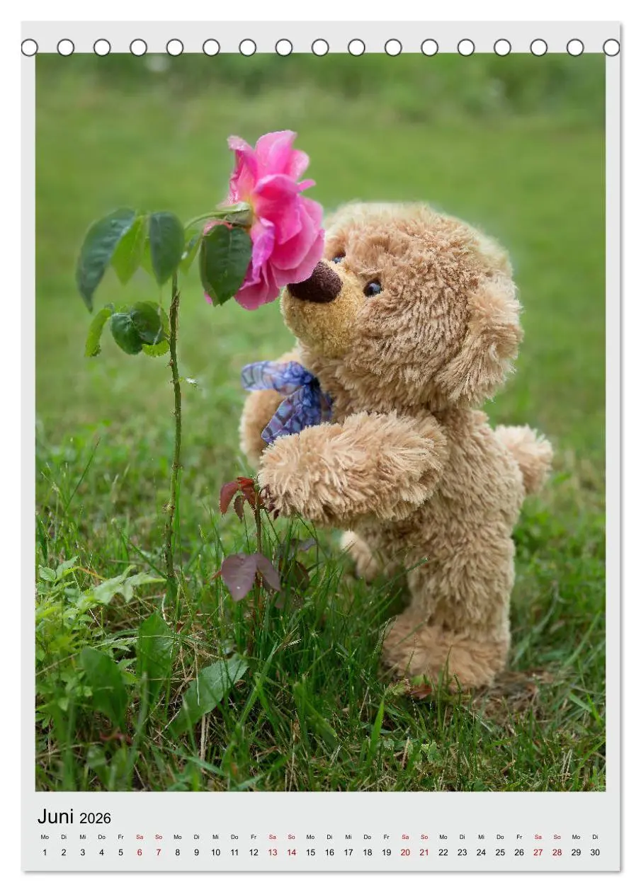 Bild: 9783516409017 | Travelling Teddy in Europa (Tischkalender 2026 DIN A5 hoch),...