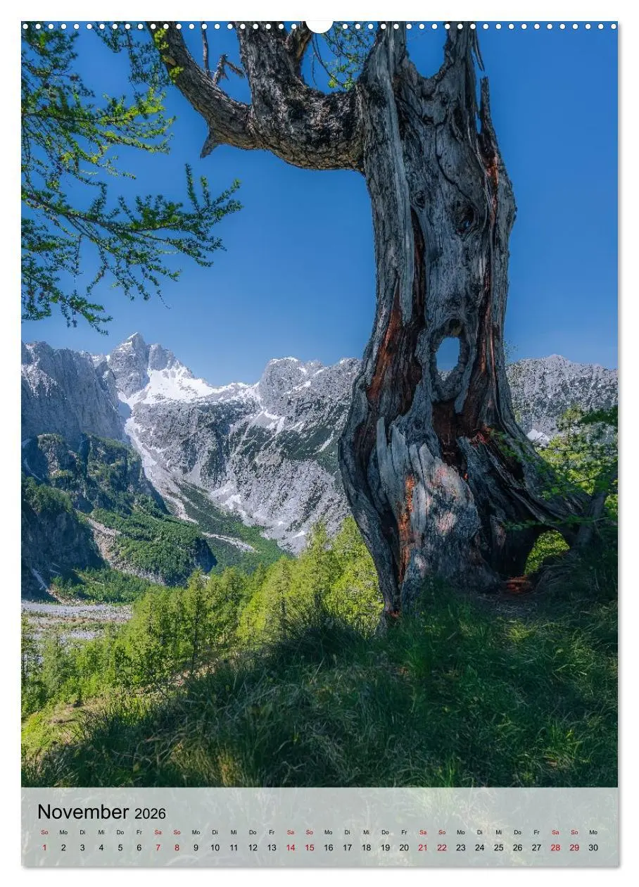 Bild: 9783516649017 | Slowenien - Frühlingsimpressionen (hochwertiger Premium...