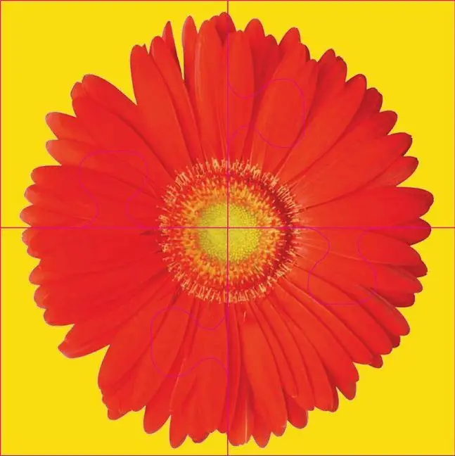 Bild: 4280000809117 | Das "Gelingt-immer"-Puzzle Blumen. Das Puzzle-Spiel für Senioren...