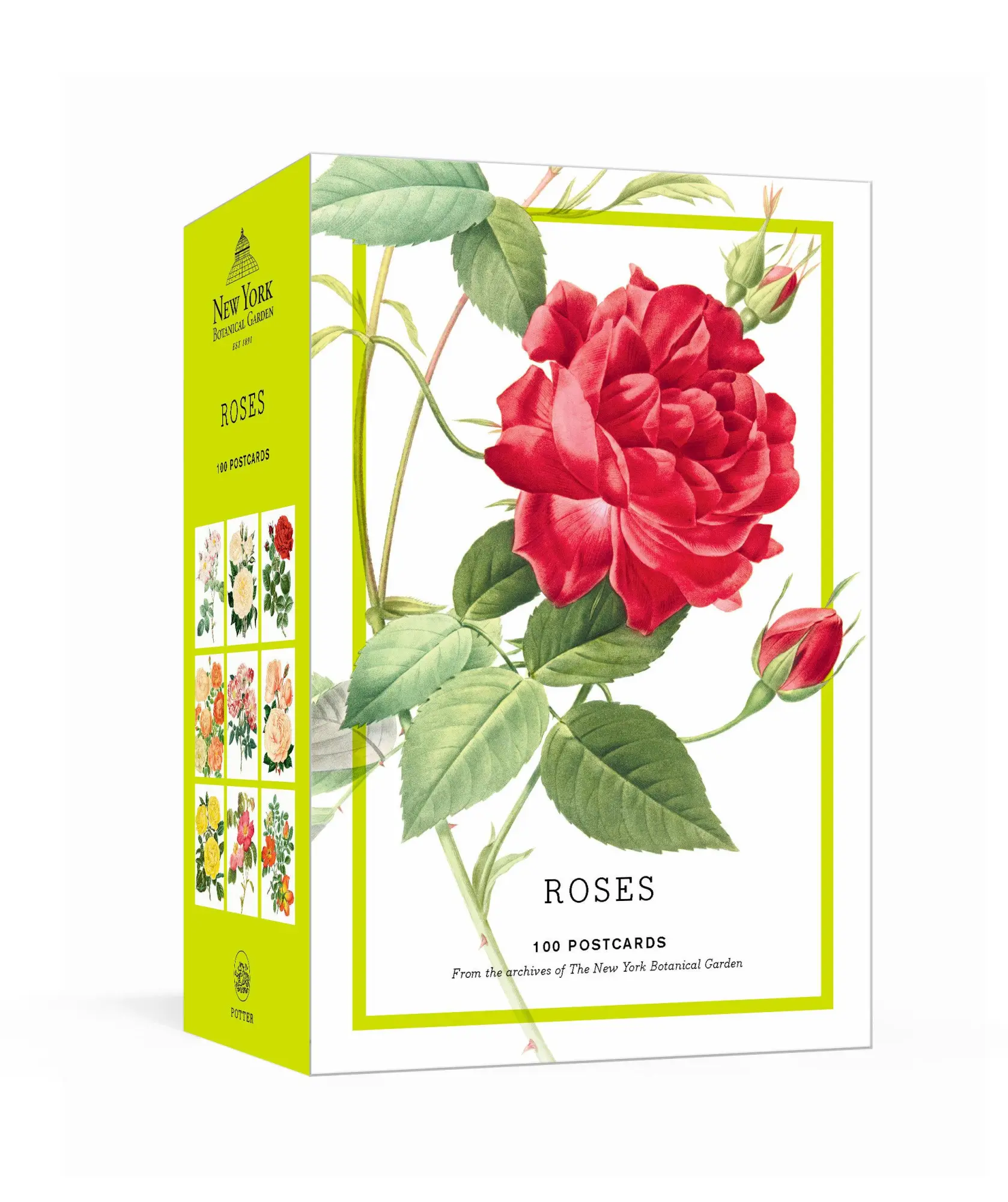 Cover: 9781524759117 | Roses | New The | Taschenbuch | Lehr- und Lernkarten | Englisch | 2021