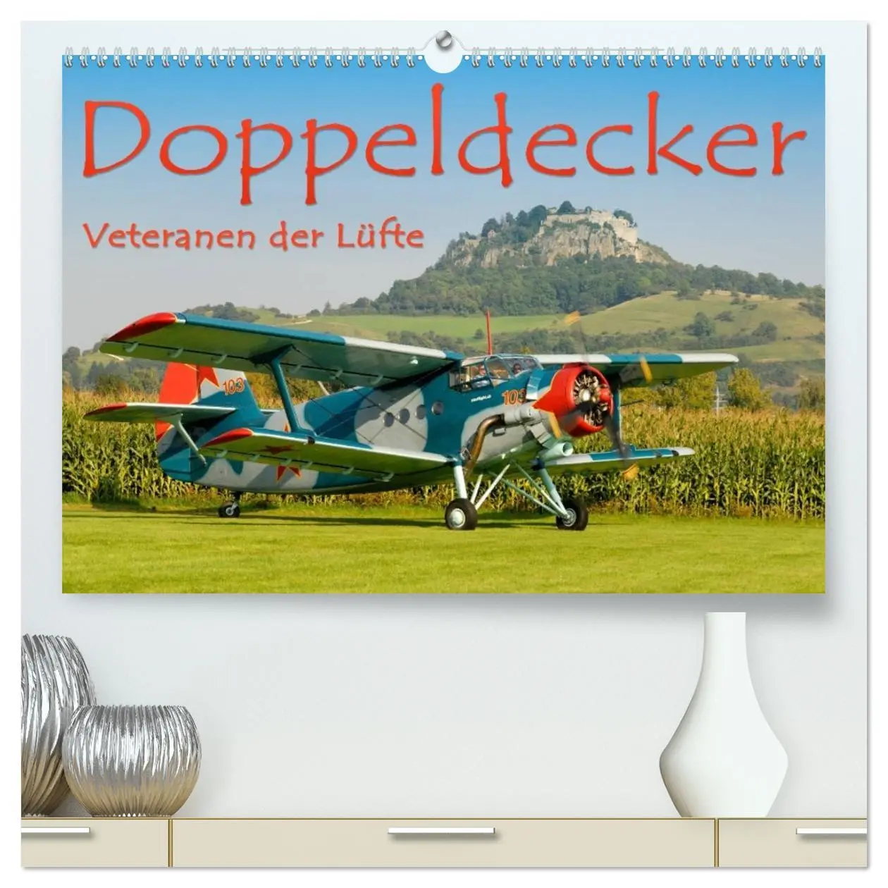 Cover: 9783516179217 | Doppeldecker - Veteranen der Lüfte (hochwertiger Premium...