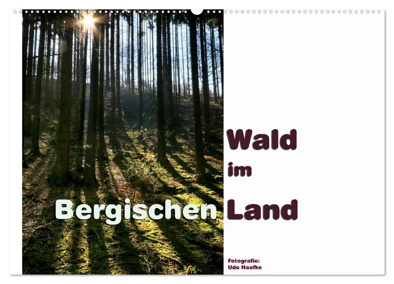 Cover: 9783457909317 | Wald im Bergischen Land 2026 (Wandkalender 2026 DIN A2 quer),...