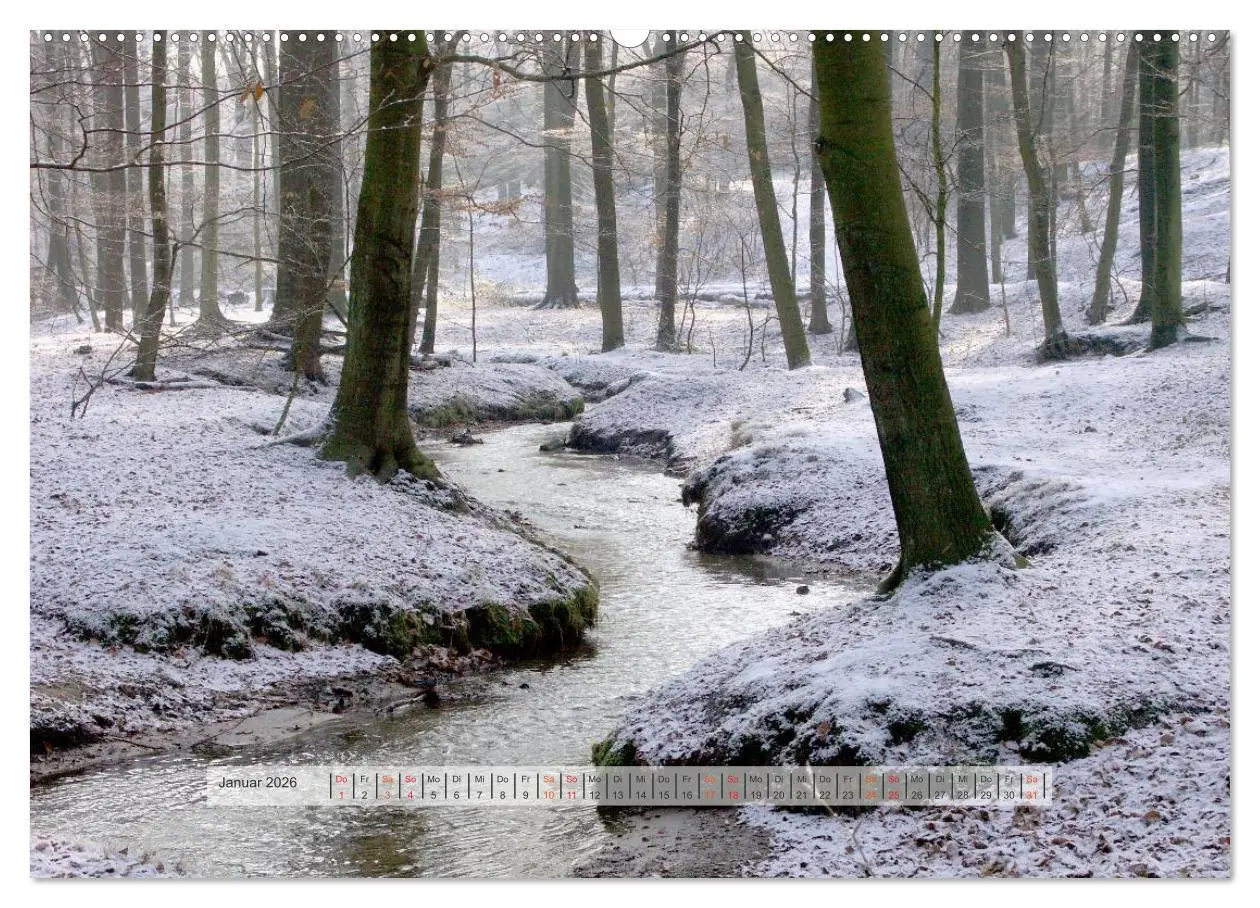Bild: 9783457909317 | Wald im Bergischen Land 2026 (Wandkalender 2026 DIN A2 quer),...