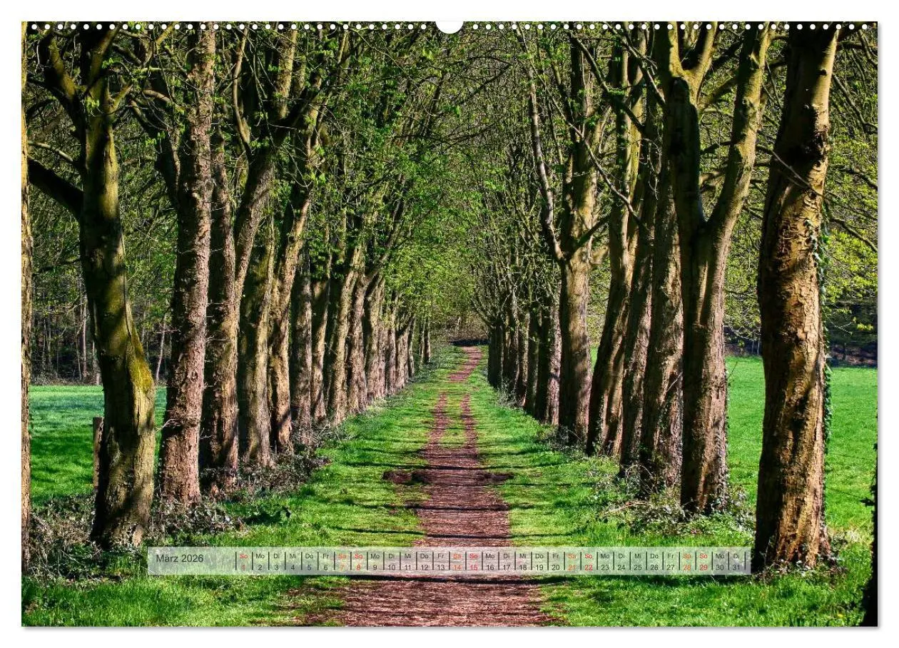 Bild: 9783457909317 | Wald im Bergischen Land 2026 (Wandkalender 2026 DIN A2 quer),...