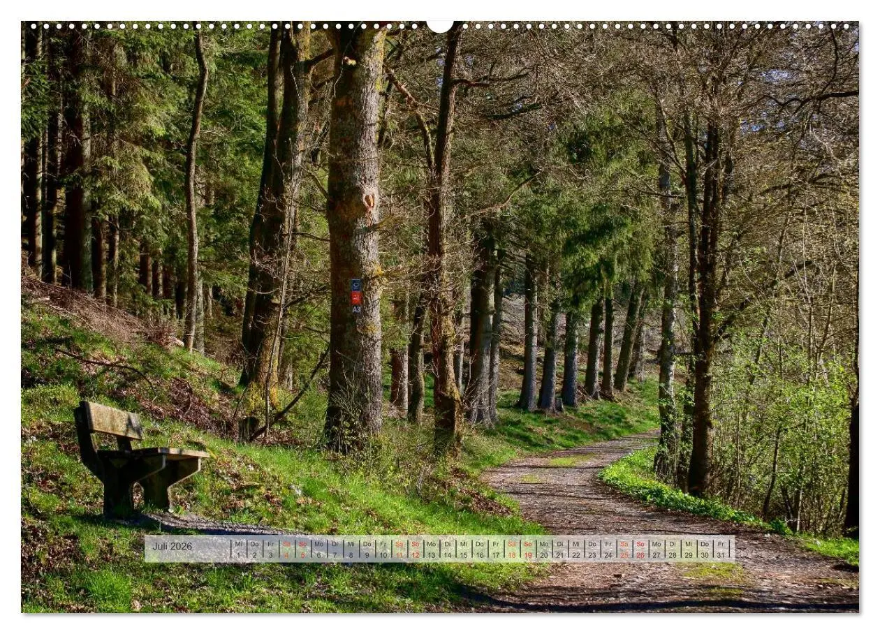 Bild: 9783457909317 | Wald im Bergischen Land 2026 (Wandkalender 2026 DIN A2 quer),...