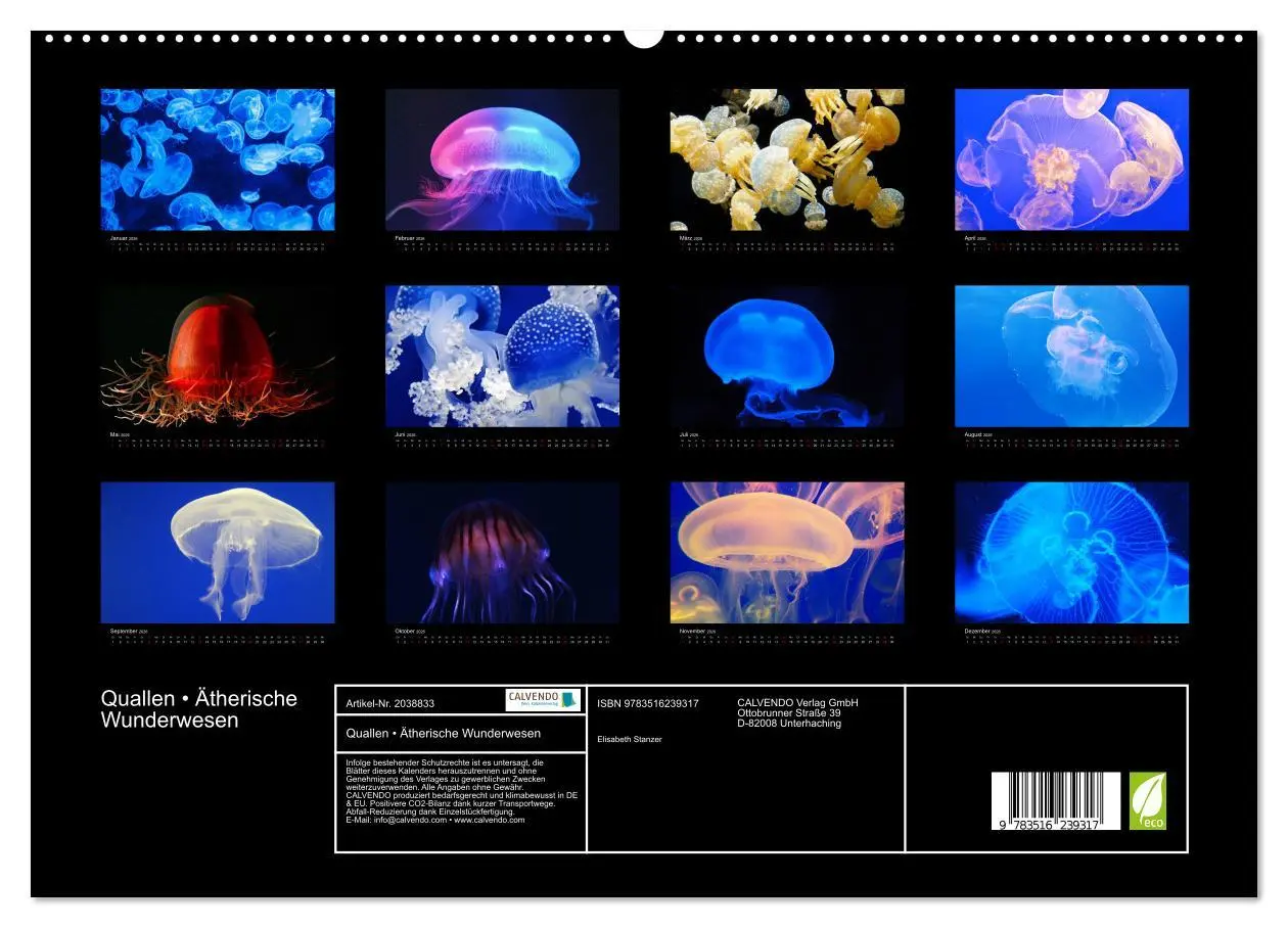 Bild: 9783516239317 | Quallen ¿ Ätherische Wunderwesen (hochwertiger Premium Wandkalender...