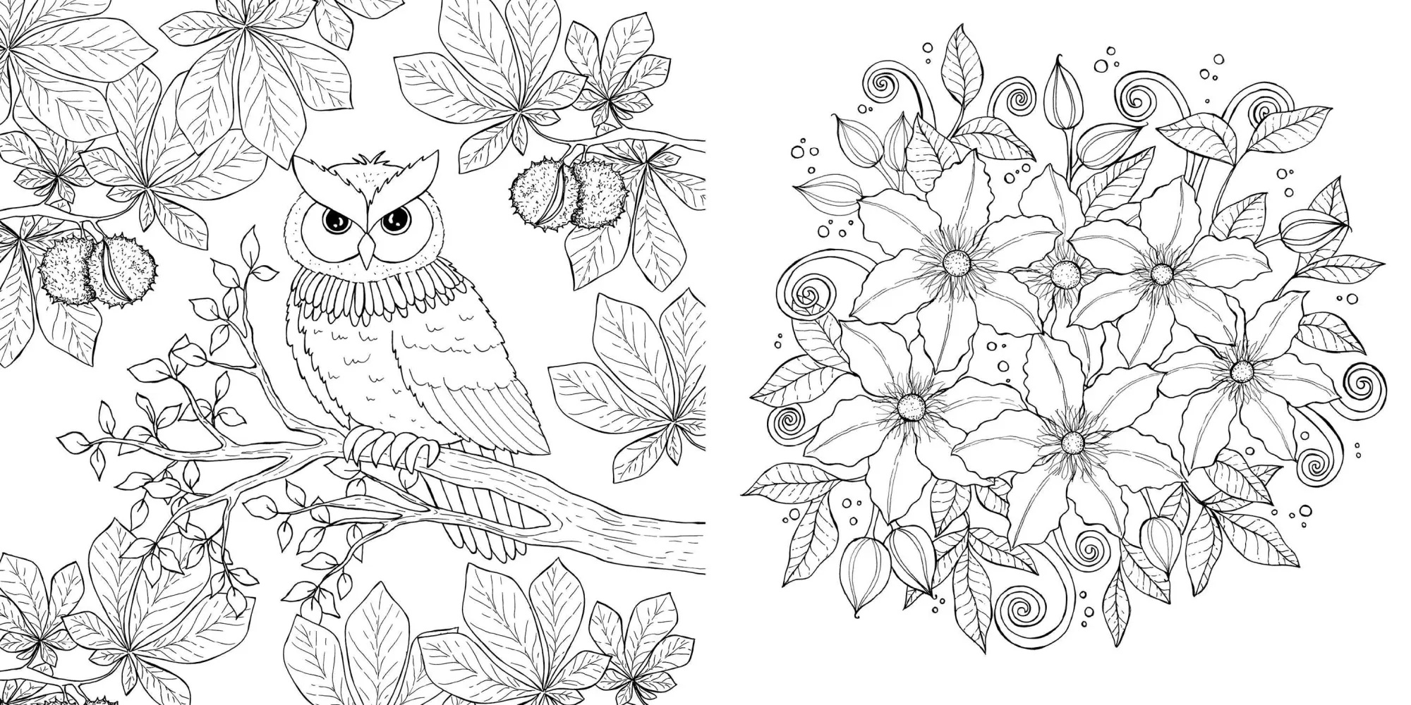 Bild: 9783745929317 | Waldgeflüster - Natur-Motive und Tiere ausmalen | Anastasia Sälinger