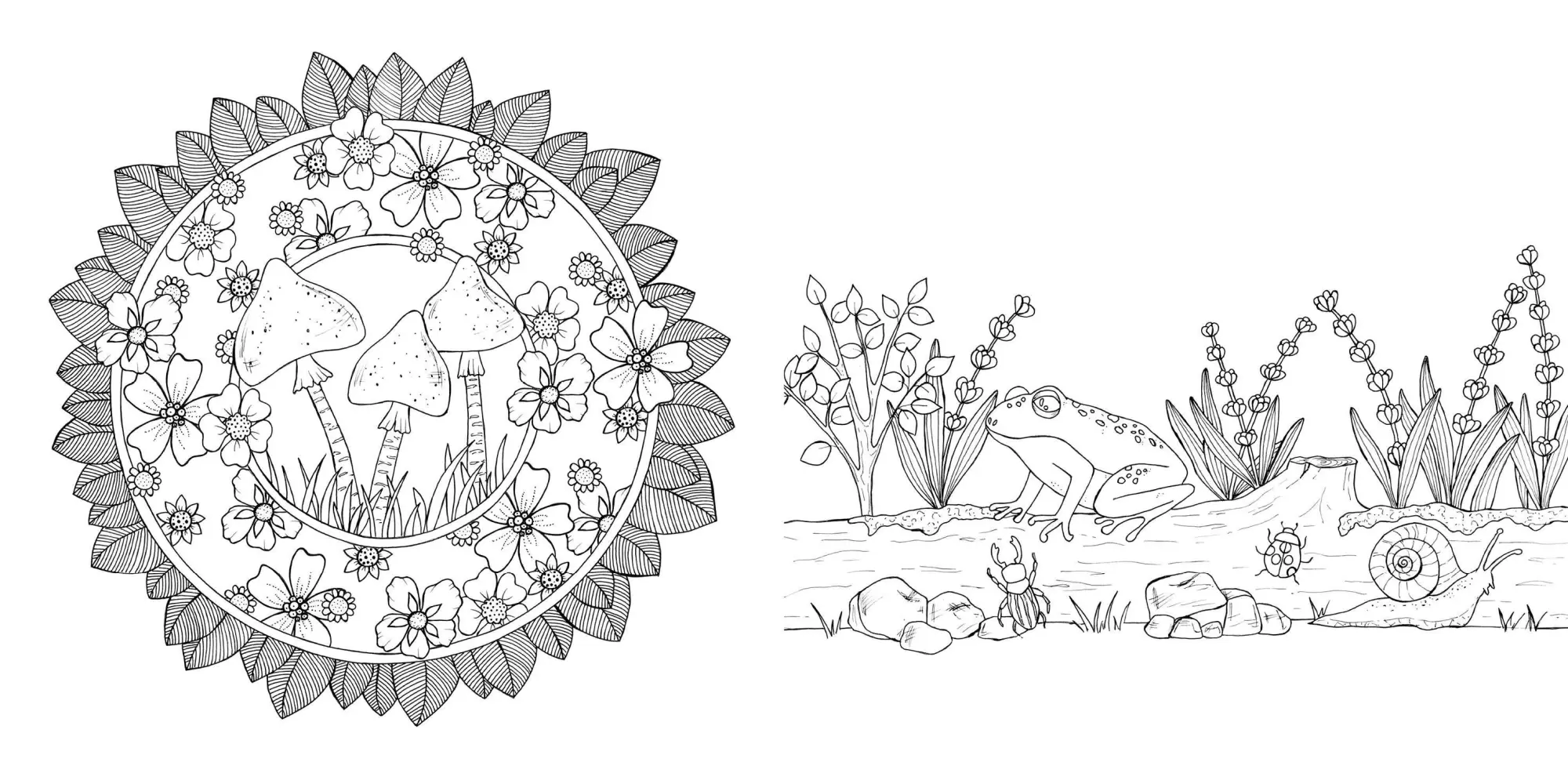 Bild: 9783745929317 | Waldgeflüster - Natur-Motive und Tiere ausmalen | Anastasia Sälinger
