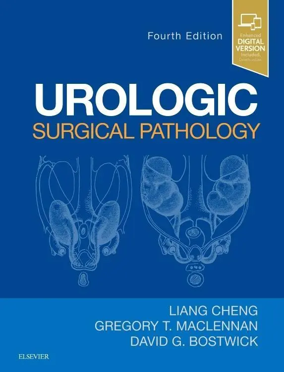 Cover: 9780323549417 | Urologic Surgical Pathology | Greg T MacLennan (u. a.) | Buch | 2019
