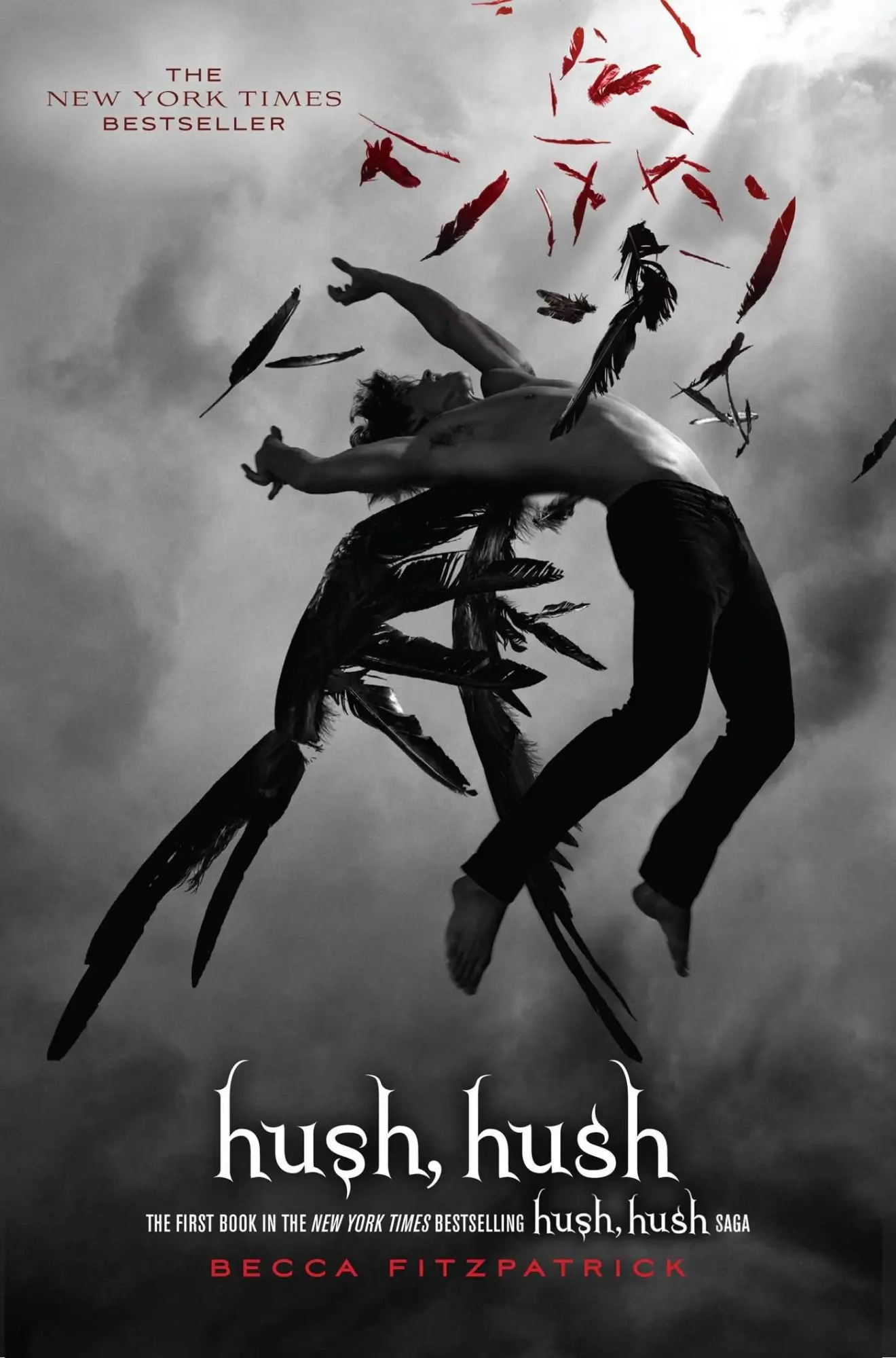 Cover: 9781416989417 | Hush, Hush | Becca Fitzpatrick | Buch | Gebunden | Englisch | 2009