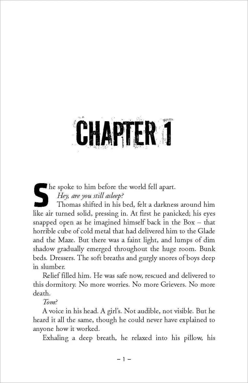 Bild: 9781909489417 | The Maze Runner 2. The Scorch Trials | James Dashner | Taschenbuch