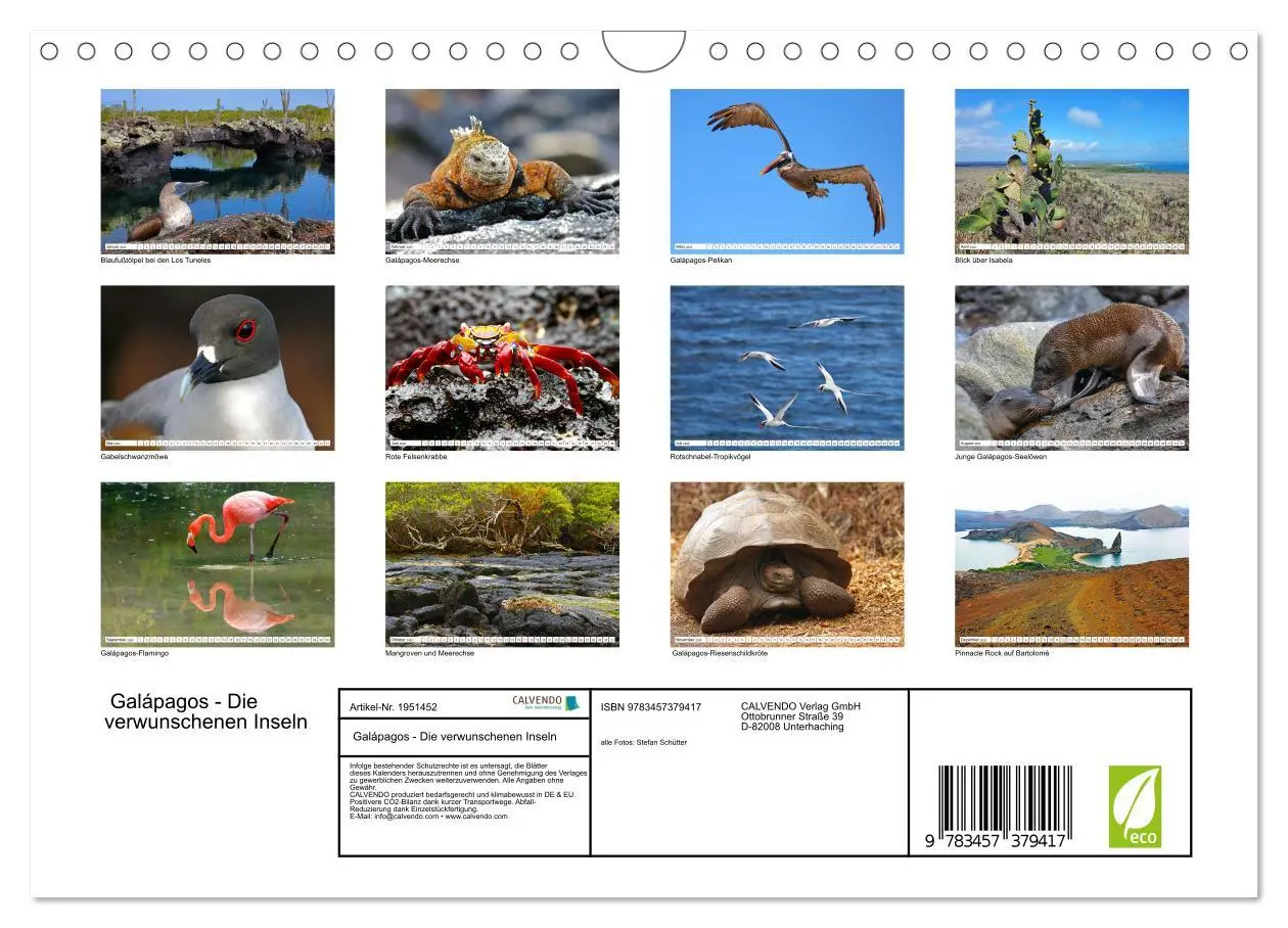 Bild: 9783457379417 | Galápagos - Die verwunschenen Inseln (Wandkalender 2026 DIN A4...