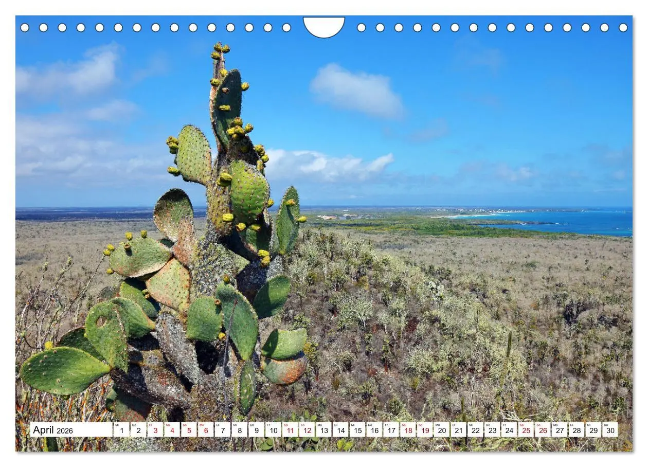 Bild: 9783457379417 | Galápagos - Die verwunschenen Inseln (Wandkalender 2026 DIN A4...