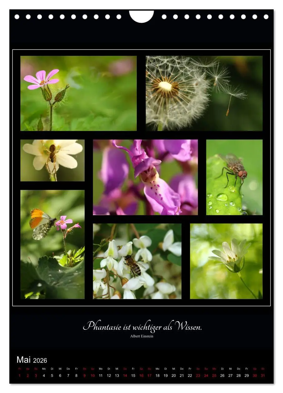 Bild: 9783516399417 | Sprache in Bildern - Collagen aus der Natur (Wandkalender 2026 DIN...