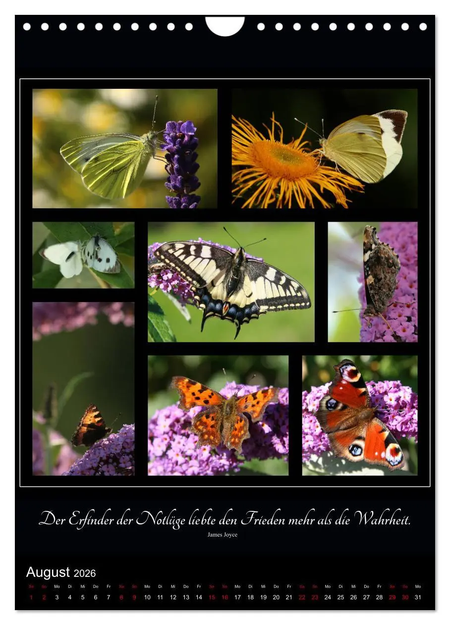 Bild: 9783516399417 | Sprache in Bildern - Collagen aus der Natur (Wandkalender 2026 DIN...